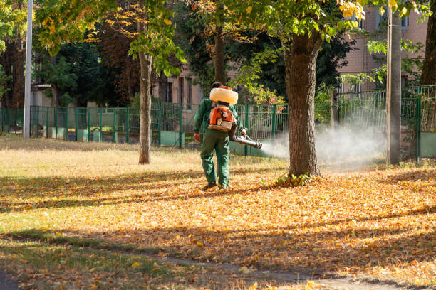 Best Bed Bug Extermination  in Linden, MI