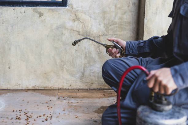 Best Best Pest Control Companies  in Linden, MI